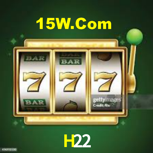Programa VIP H22